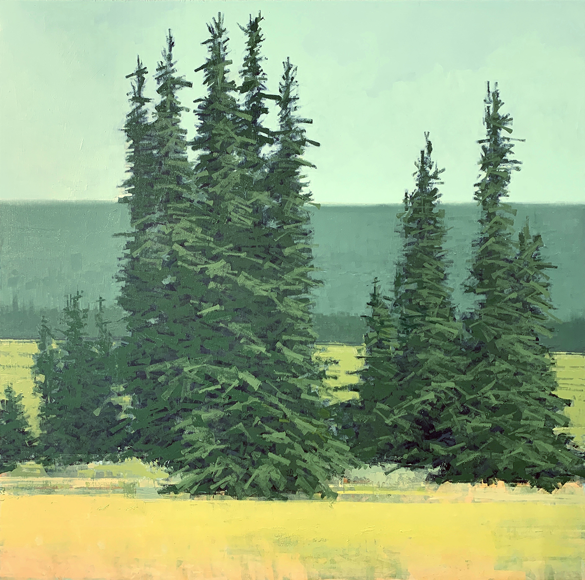 Spruces, by Patricia Kimball